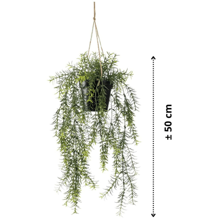 Emerald Konstväxt hängsparris i kruka 50 cm