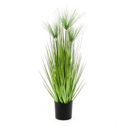 Emerald Konstväxt cyperus i kruka Haspan 75 cm