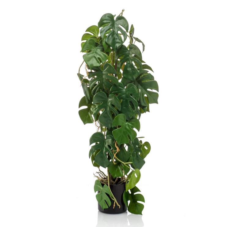 Emerald Konstväxt monstera 75 cm i kruka