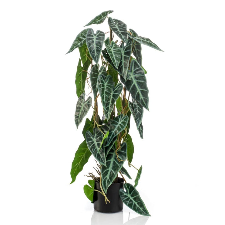 Emerald Konstväxt Alocasia i kruka 75 cm