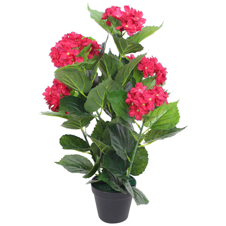 Konstväxt Hortensia med kruka 60 cm röd